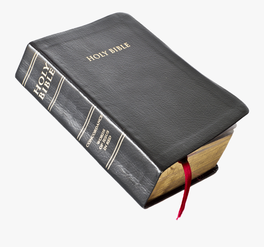 Readthebiblem Read The Bible Bible Seminars - Major And Minor Prophets List, Transparent Clipart