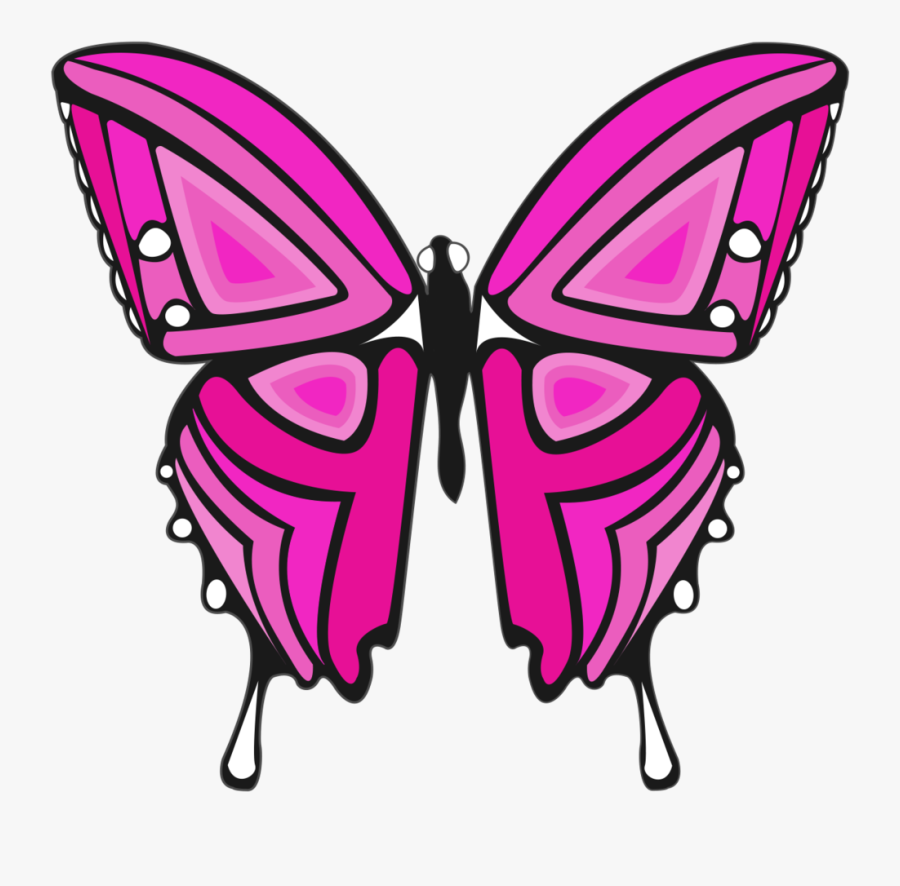 - Pink And Purple Butterfly , Transparent Cartoons - Cartoon Type Of Butterfly, Transparent Clipart
