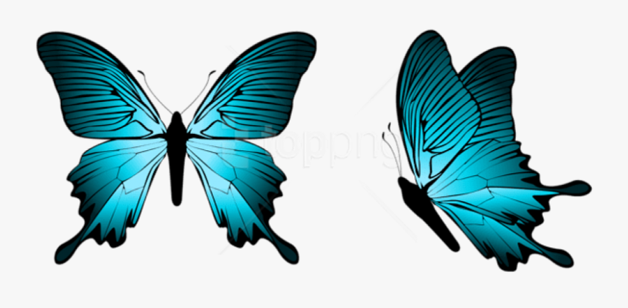 Download Blue Clipart Photo - Blue Butterflies Free Png, Transparent Clipart