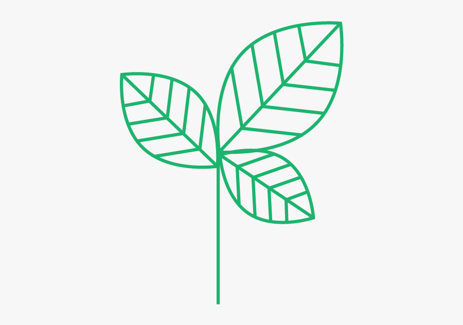Leaf Minimal, Transparent Clipart