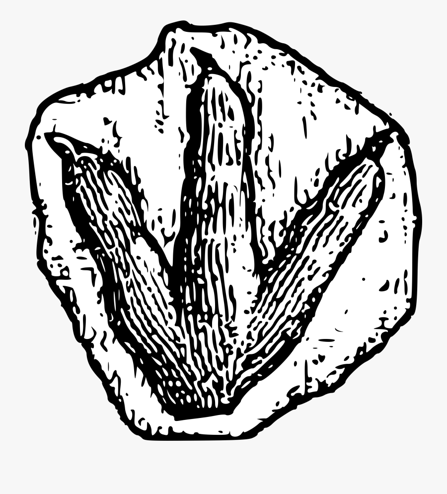 Footprint - Dinosaur Footprint Clipart, Transparent Clipart