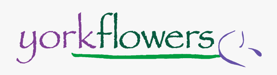 Washington, Dc Florist, Transparent Clipart