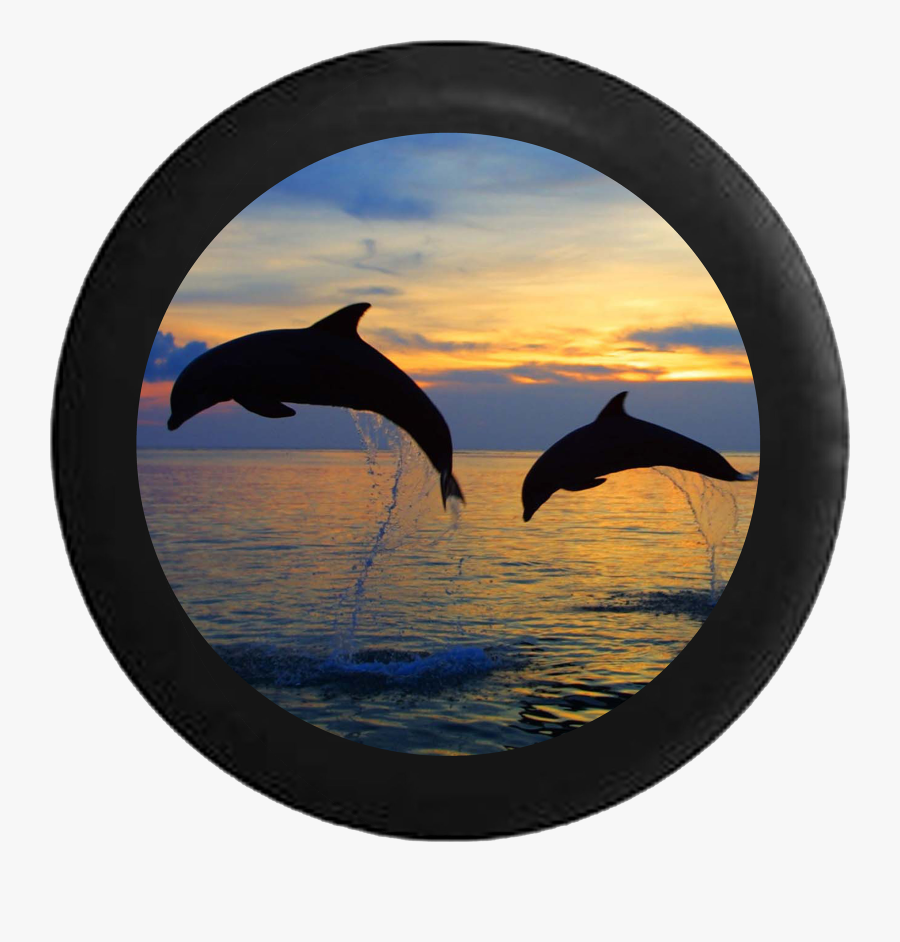 Tire Cover Pro Sanibel Island Florida Sunsets - Sanibel Island Florida Sunsets, Transparent Clipart
