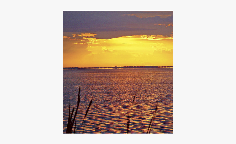 Clip Art Forecast Lake Apopka - Sea, Transparent Clipart