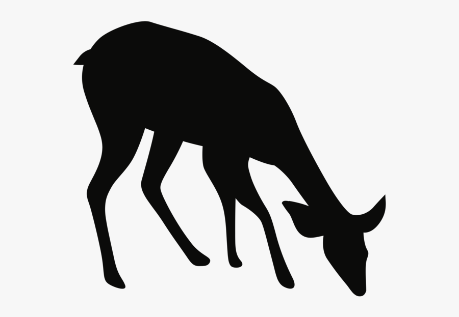 Noun Deer 671375 - Fawn Deer Silhouette Png, Transparent Clipart