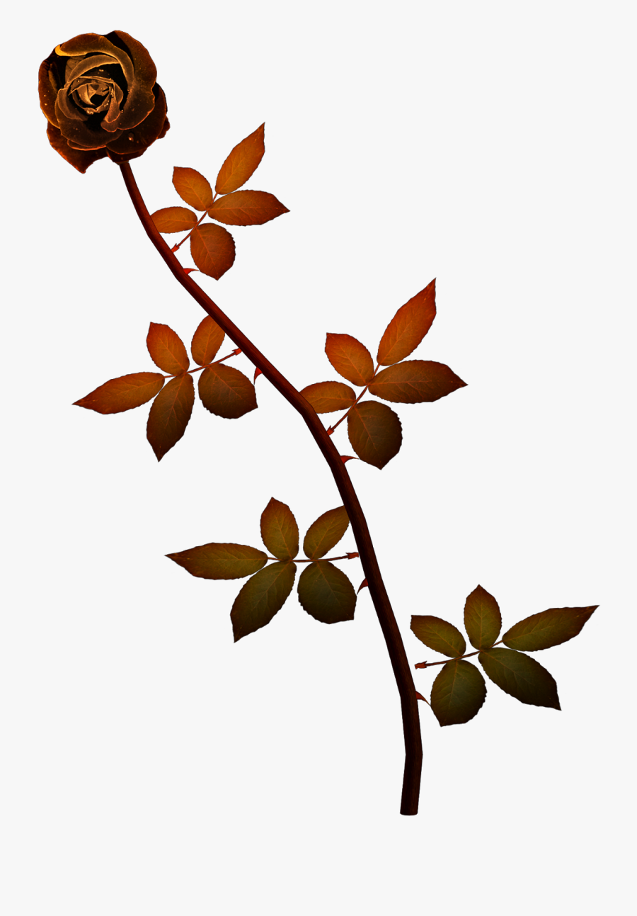 Рамки С Днем Рождения, Transparent Clipart