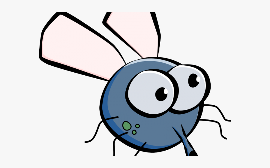 Transparent Cute Insects Clipart - Fly Clipart Png, Transparent Clipart