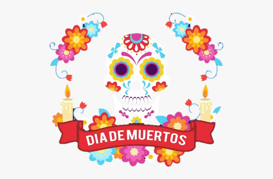 Skull, Transparent Clipart