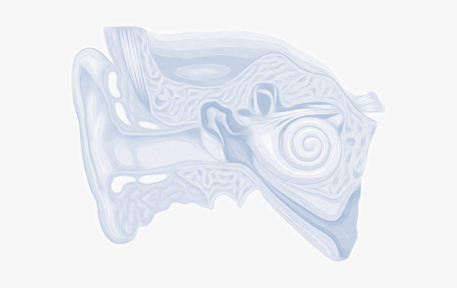 Drawing, Transparent Clipart