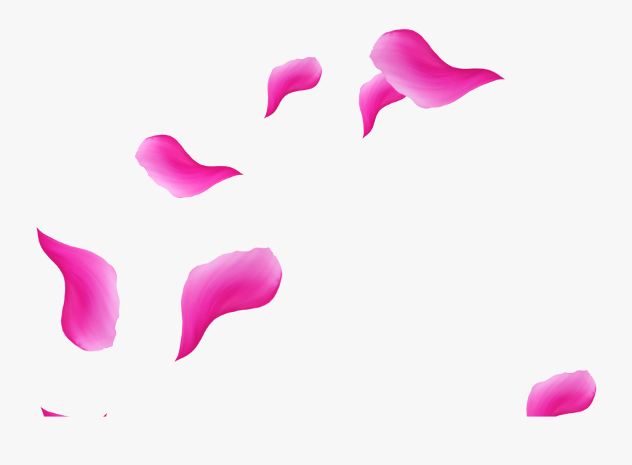 Tulip, Transparent Clipart