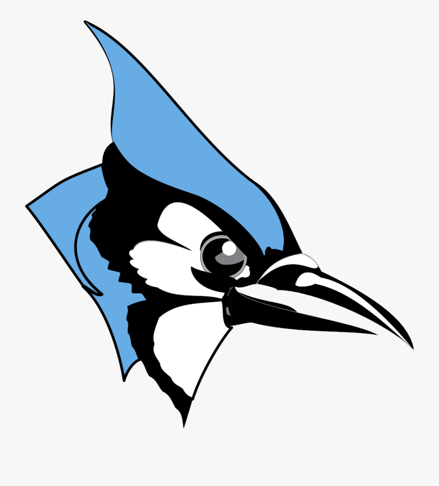 Johns Hopkins By Cole Sawyer Infographic Common - Blue Jay Johns Hopkins Logo, Transparent Clipart