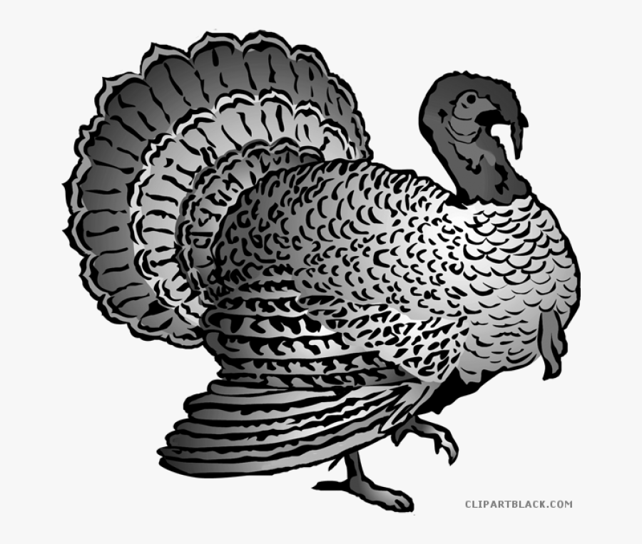 Turkey Clipart Etsy - Thanksgiving Turkey Clipart Free, Transparent Clipart