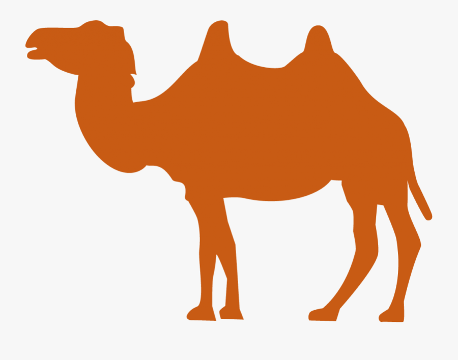 African Camel Silhouette, Transparent Clipart