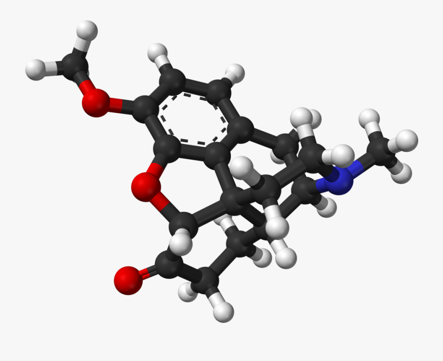 Molecular Model Of Hydrocodone - Hydrocodone 3d Structure, Transparent Clipart