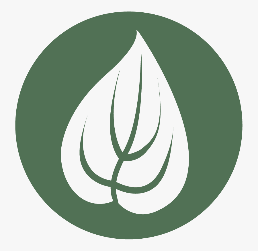 Growthspurts New V2 - Circle, Transparent Clipart