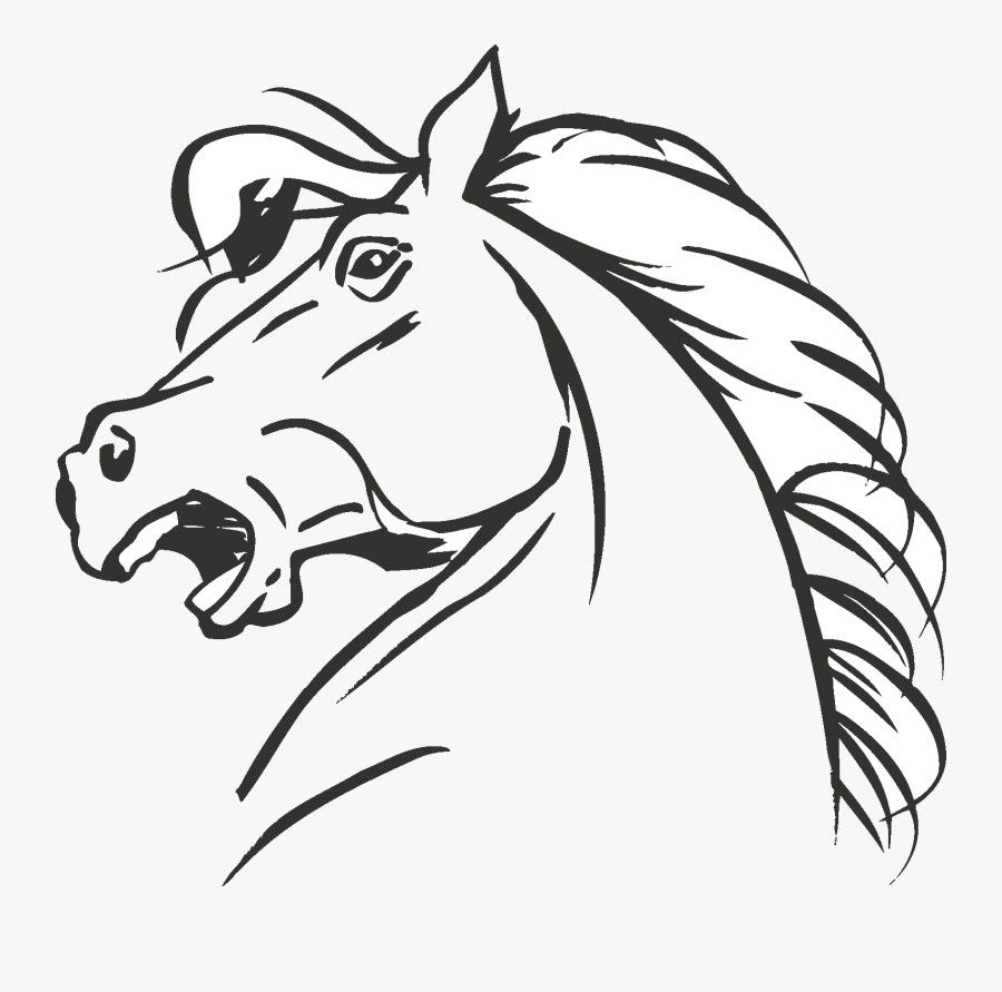 Clip Art Collection Of Free Drawing - Drawing Horse Head, Transparent Clipart