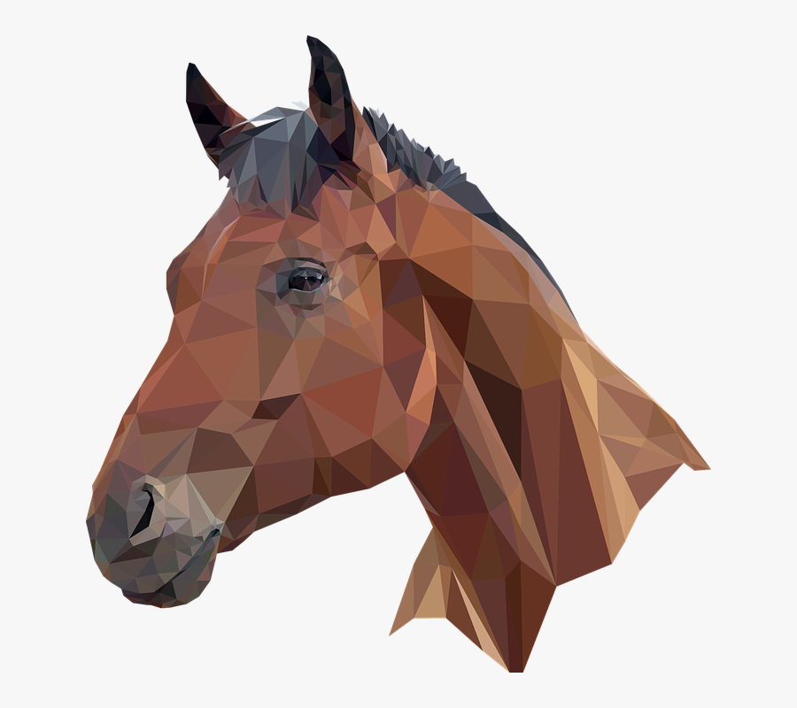 Cabeça Equino, Transparent Clipart