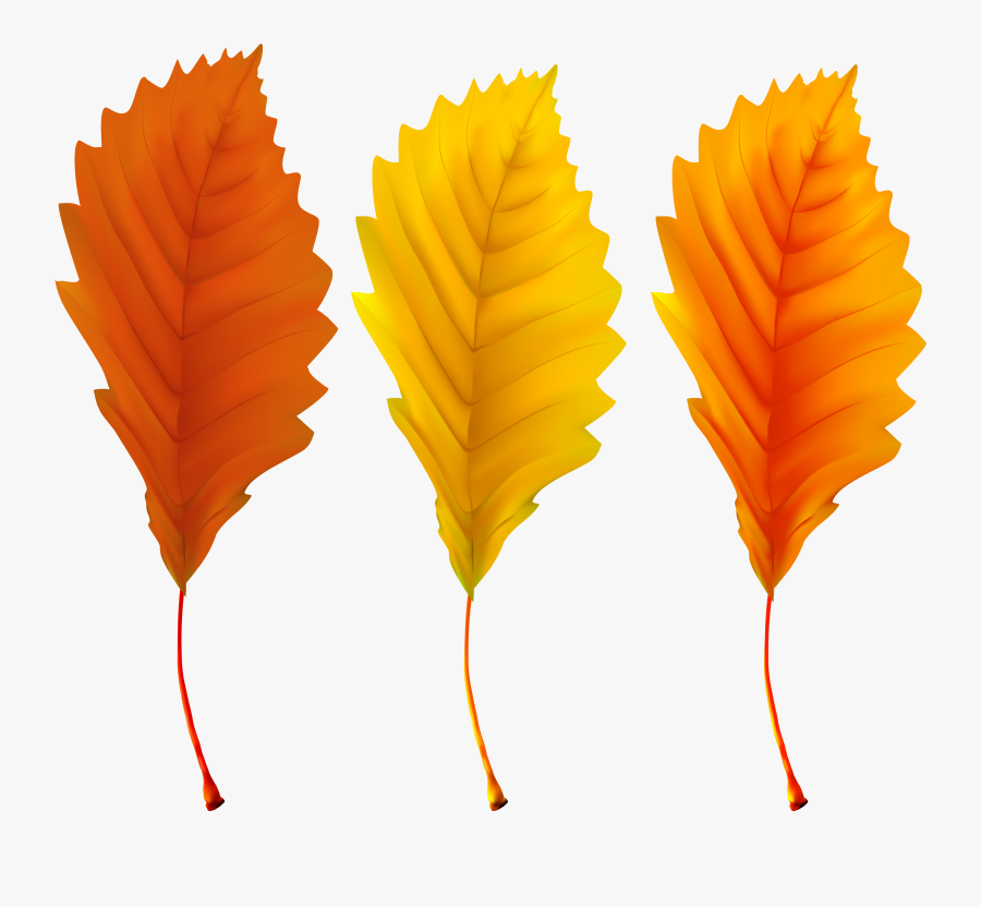 Transparent Falling Leaves Clipart Png, Transparent Clipart