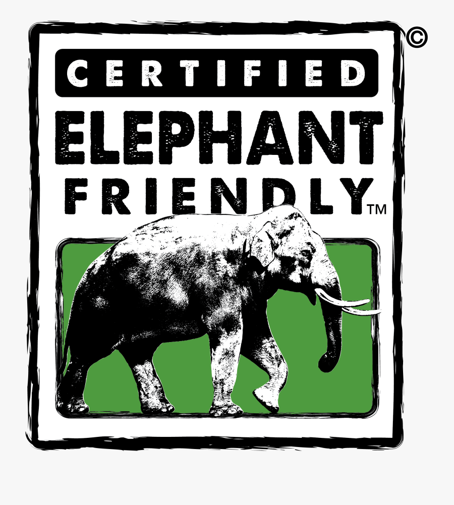 Indian Elephant, Transparent Clipart