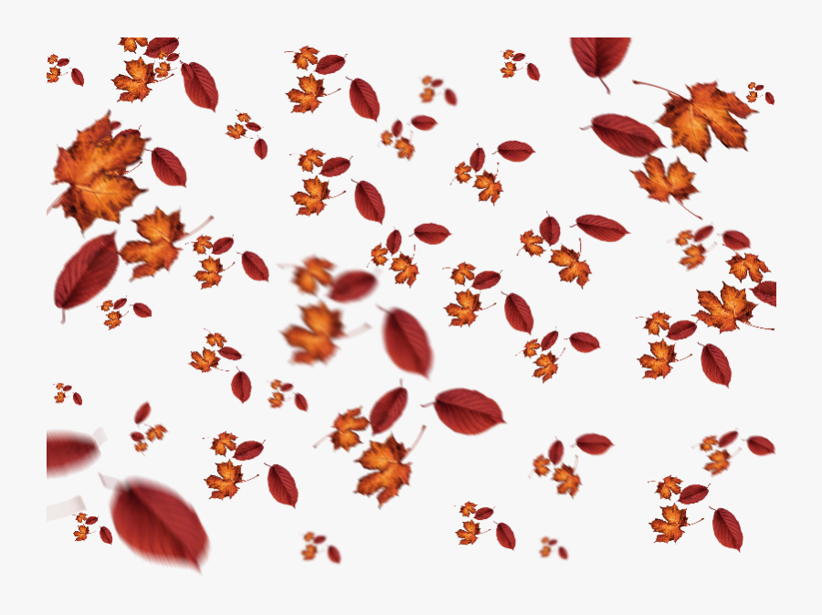 Clip Art Fall Leaves Texture - Fall Leaves Overlay Png, Transparent Clipart