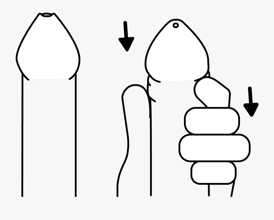 Paano Palakihin Ang Titi Na Walang Ginagamit, Transparent Clipart