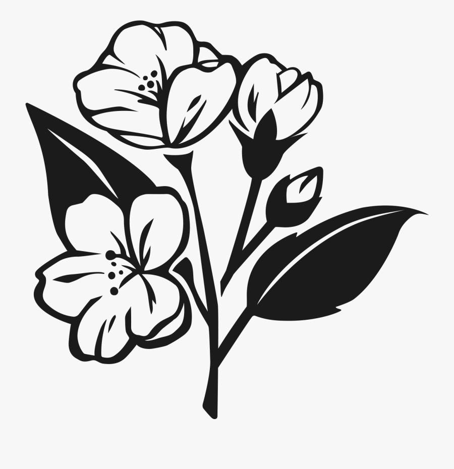 Transparent Jasmine Flower Png - Floribunda, Transparent Clipart