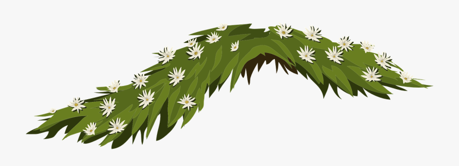 Flowers Jasmine White Leaves Png Image - Portable Network Graphics, Transparent Clipart
