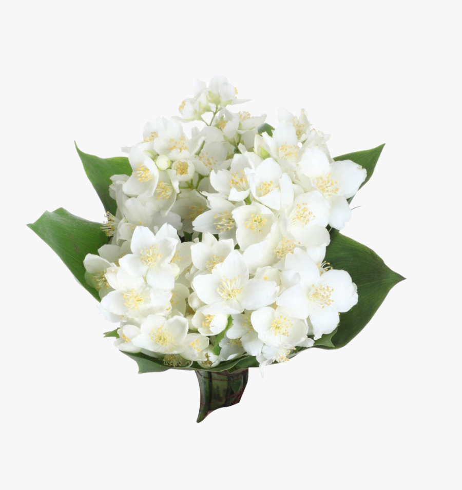 Clip Art Rabe De Flor - Jasmine Bouquet, Transparent Clipart