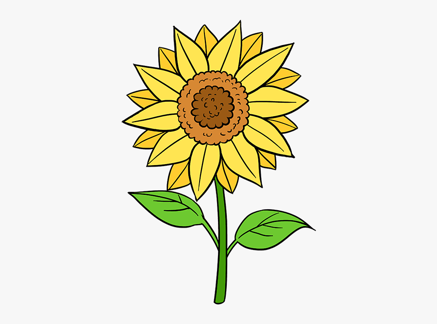 Pretty Flower Drawing Pictures And Cliparts, Download - Sunflower Drawing, Transparent Clipart