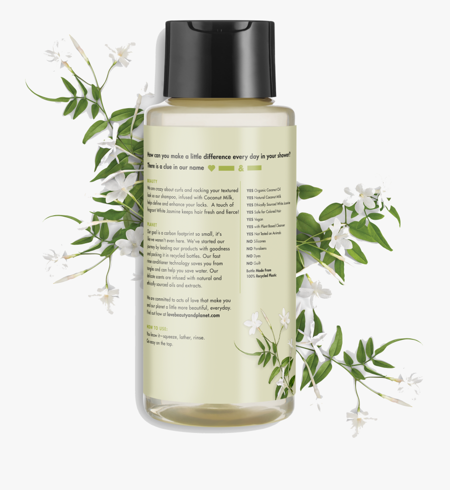 Transparent Jasmine Png, Transparent Clipart