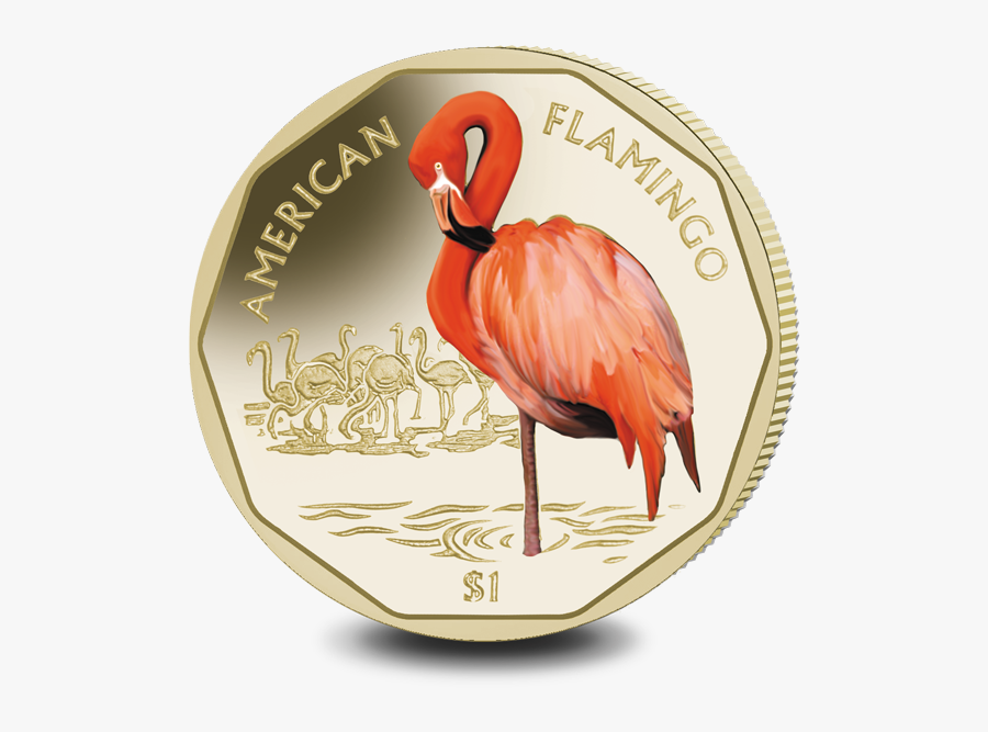 Flamingo Coin, Transparent Clipart