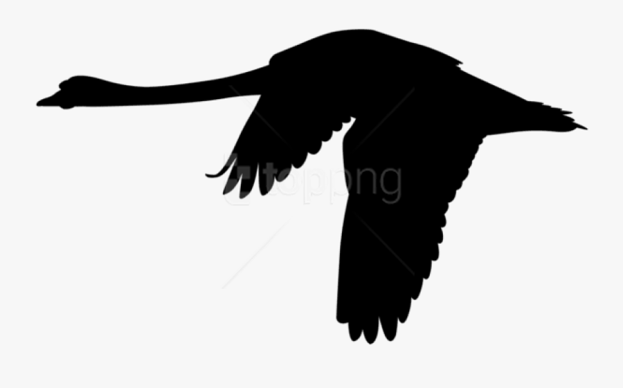 Free Png Flying Swan Silhouette Png Png - Silhouette Of A Swan Flying, Transparent Clipart