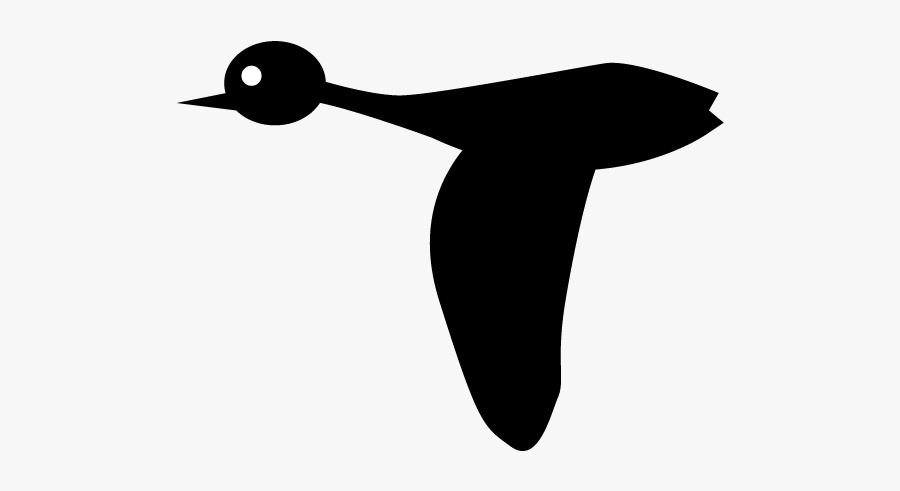 Duck, Transparent Clipart
