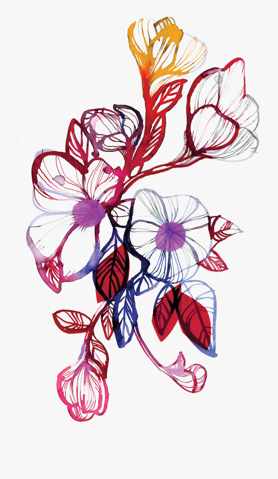 Flower Flourish - Stina Persson, Transparent Clipart