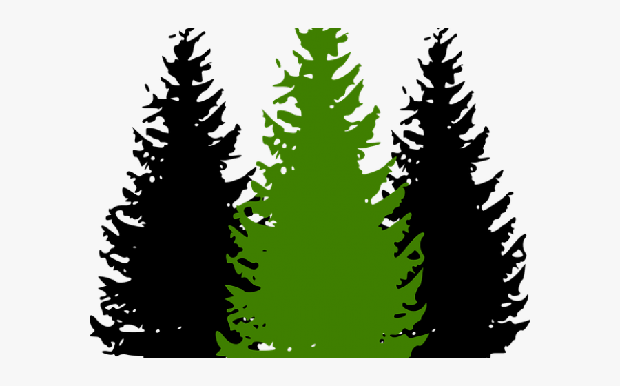 Pine Tree Clipart Conifer Tree - Pine Trees Clip Art, Transparent Clipart