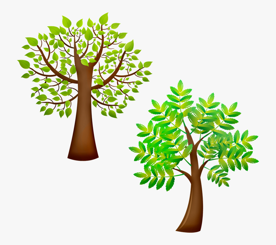 Trees, Green, Trunk, Leaves, Nature, Forest, Landscape - Swachh Bharat Abhiyan Black Am, Transparent Clipart