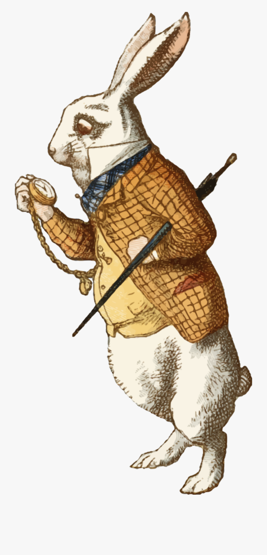 Jpg Black And White Clipart The White Isolated Colour - White Rabbit Alice In Wonderland Book, Transparent Clipart