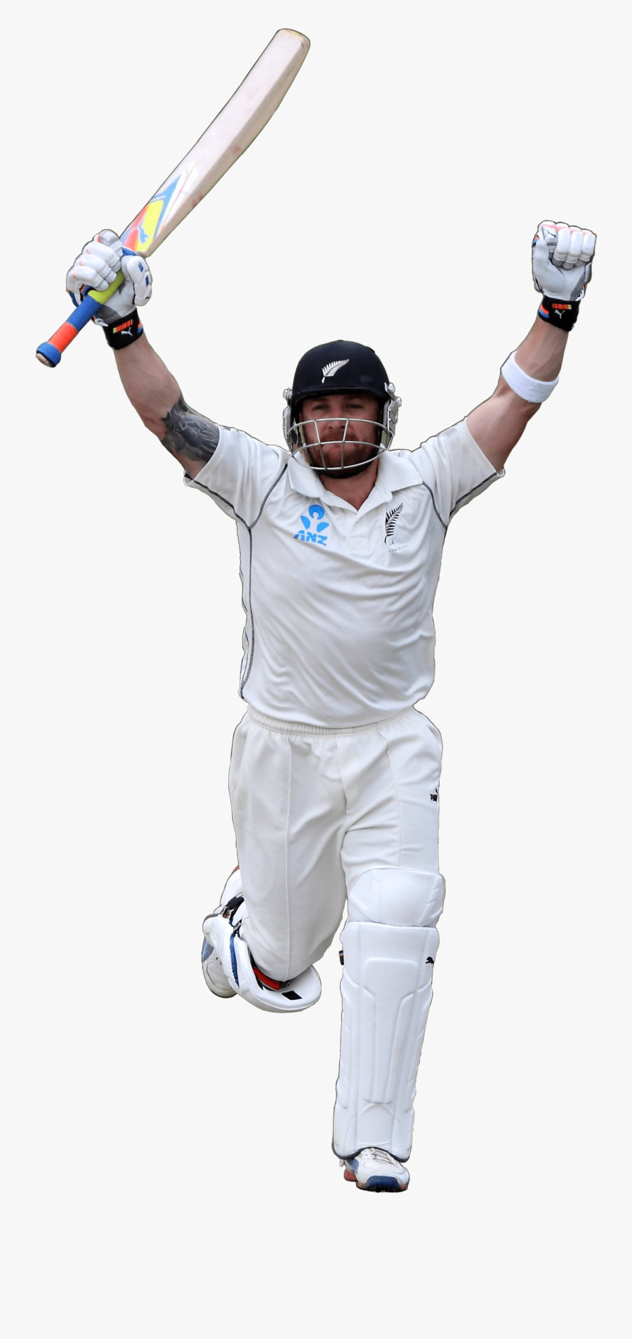 Person Playing Bricket Celebrating Png Image - Transparent Cricket Player Png, Transparent Clipart