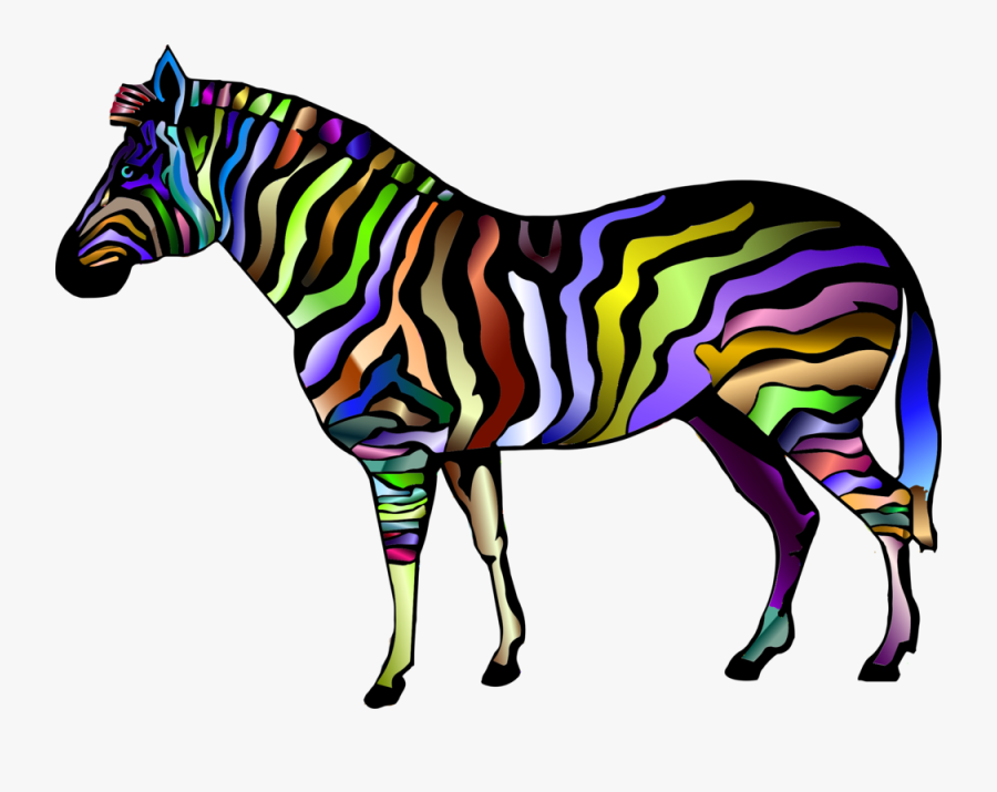 Pony,horse Tack,zebra - Cmyk Png Animal, Transparent Clipart