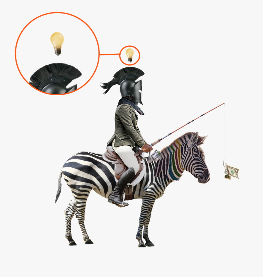 Stock Photo Zebra White Background, Transparent Clipart