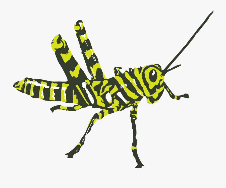 Zebra Is A Live Multi Agent Behavior System - Bee, Transparent Clipart