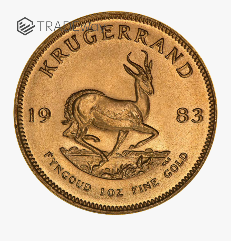 Transparent Gold Coins Png - 1856 1 Dollar Gold Coin, Transparent Clipart