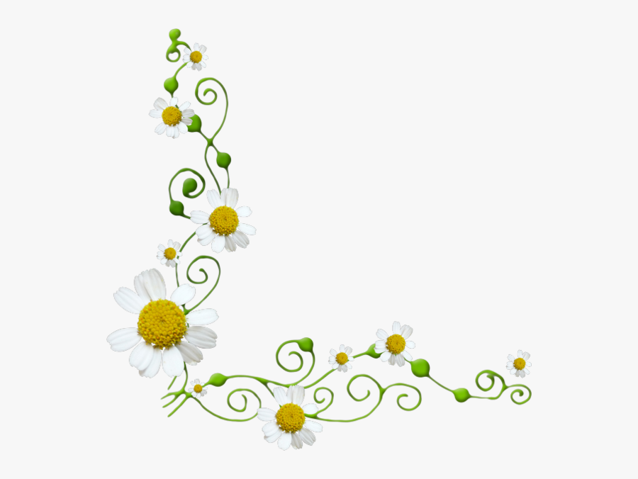 Transparent Daisy Flower Border, Transparent Clipart