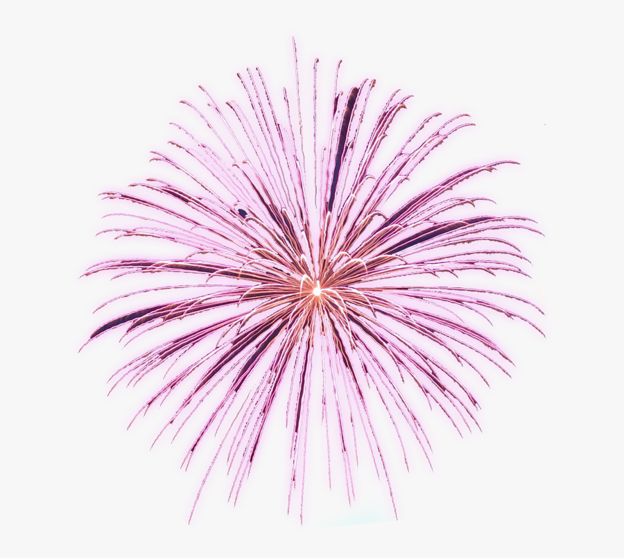 Free Animated Fireworks Gifs Clipart And Firework Animations - Animated Fireworks Gif Png, Transparent Clipart