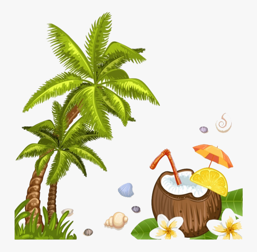 Free Illustration Of Palm Tree, Transparent Clipart