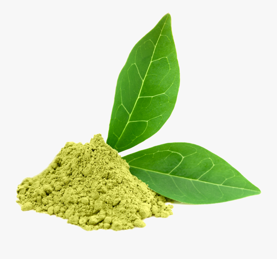 Green Tea Png - Matcha Green Tea Png, Transparent Clipart