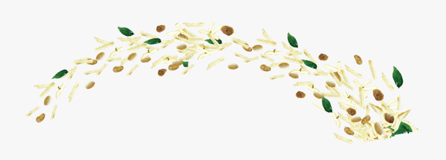 Pollen, Transparent Clipart