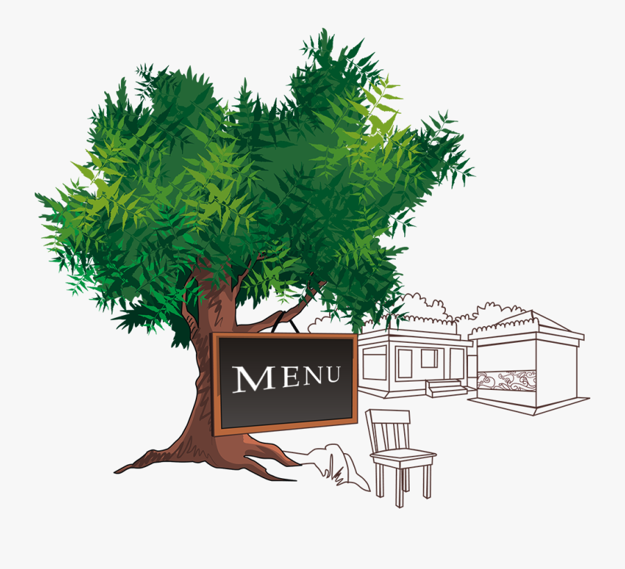 Larch, Transparent Clipart