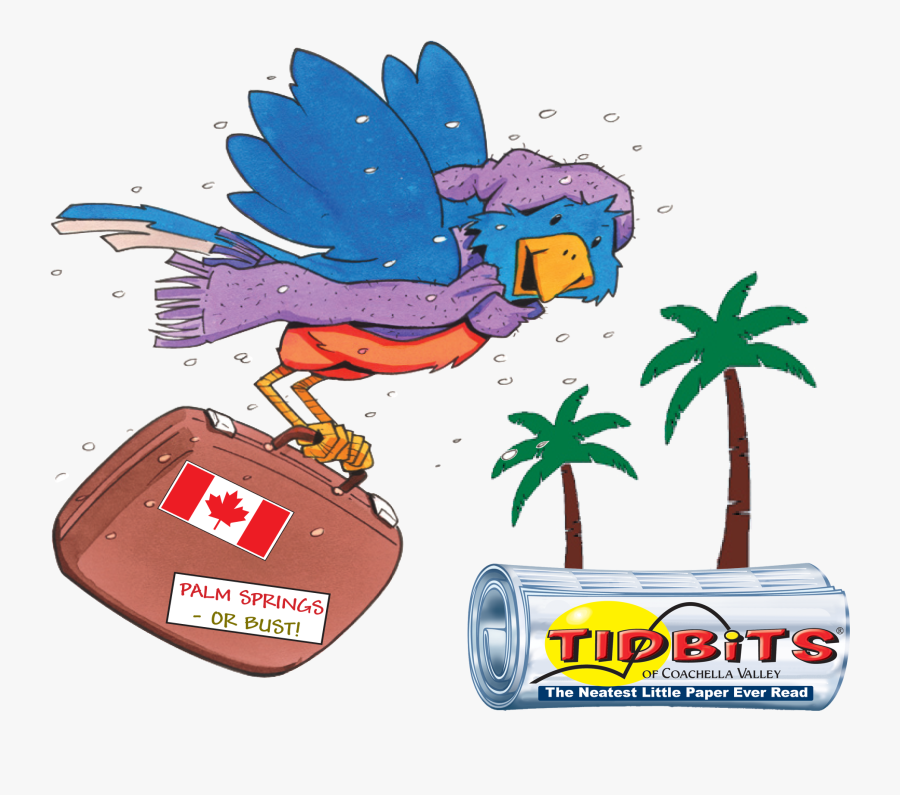 Snowbird Cartoon Drawing Free Frame Clipart - Snowbird Clipart, Transparent Clipart