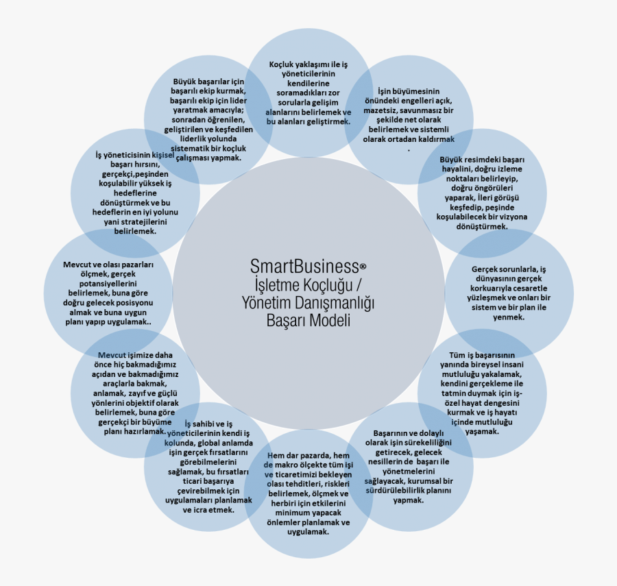 Circle, Transparent Clipart